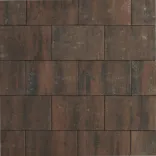 Tremico Brons 20x30x6cm-Betontegel met een deklaag