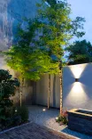 In-Lite Big Flux Integrated-