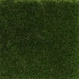 Visiegrass Oldham 35mm-