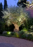 In-Lite Big Scope 12V-In hoogte verstelbaar met accessoires