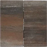 Tremico 6cm 30x60cm Texels bont-Betontegel met een deklaag