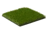 Visiegrass Oldham 35mm-