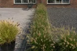 Tremico Betonklinker 7cm 21x10