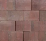 Tremico Oud Bont 20x30x6cm-Betontegel met een deklaag