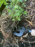 Handvorkje 'Welldone' essen handvat 140mm-