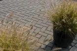 5cm Antraciet-Doorgaans goed waterdoorlatend