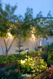 In-Lite Mini Scope Duo 12V-Geschikt voor het verlichten van hoge beplanting