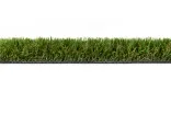 Visiegrass Oldham 35mm-