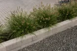 Tremico Betonklinker 7cm 21x10