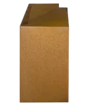 Overzetprofiel Muurblok Hoek 20x45x15