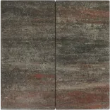 Tremico Twents Bont 30x60x6-Betontegel met een deklaag