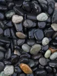 Beach Pebbles Antraciet 8-16mm BB (1m3 1800kg)-Ter decoratie van de vijver