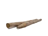 Kastanje Paal 8/10x160-