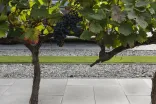 Tremico 6cm 30x60cm Antraciet-