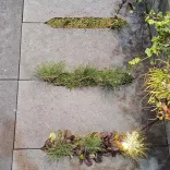 Schellevis Oudhollands Eco-tegel Antraciet 100x50x7cm-