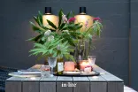 In-Lite Halo Down Wall 12v - Black-Geschikt voor het verlichten van een schutting en muur