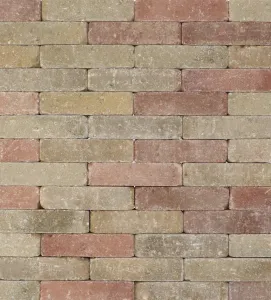 Trommelsteen 20x5x7 terrageel-Verscheidenheid aan mogelijkheden