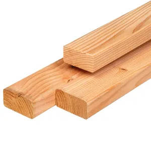 Lariks/Douglas Ligger 4