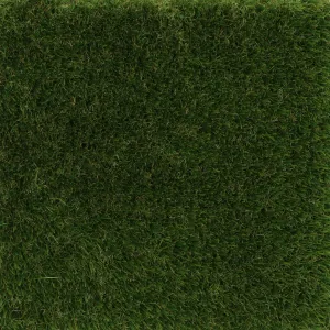 Visiegrass Oldham 35mm-