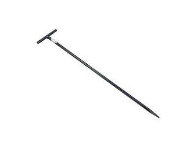 Draadpen 600x12mm T-kop-