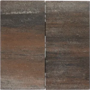 Tremico 6cm 30x60cm Texels bont-Betontegel met een deklaag