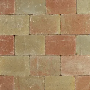 Trommelsteen 20x30x6 terrageel-Verscheidenheid aan mogelijkheden