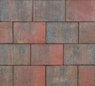 Tremico Bont 20x30x6cm-Betontegel met een deklaag