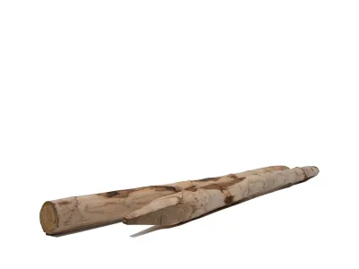 Kastanje Paal 8/10x180-