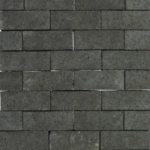 Schellevis Oudhollands Antra DF 21x7x8-Verscheidenheid aan mogelijkheden