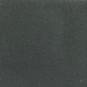 Tremico 6cm 60x60cm Antraciet-Betontegel met een deklaag
