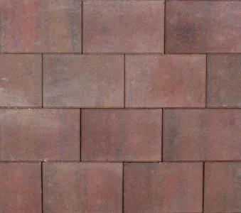 Tremico Oud Bont 20x30x6cm-Betontegel met een deklaag