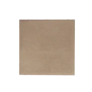Aland Betontegel Taupe 60x60x4 cm-