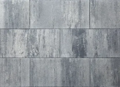 Tremico 6cm 30x60cm Zeeuws bont-Betontegel met een deklaag