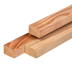 Regel Douglas Gedroogd en Geschaafd 4