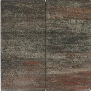 Tremico Twents Bont 30x60x6-Betontegel met een deklaag