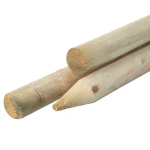 Ronde paal geïmpregneerd o6x160cm gepunt