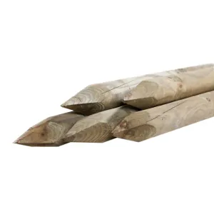 Ronde Paal o6x100cm-