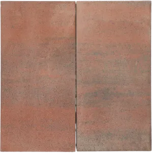 Tremico Oud Bont 30x60x6cm-Betontegel met een deklaag