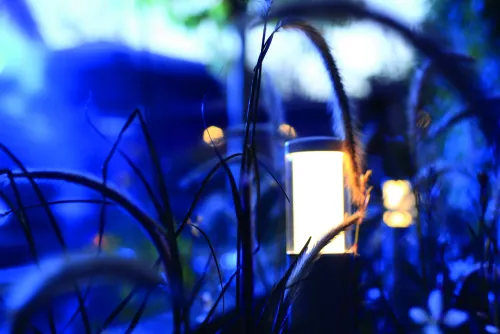 In-Lite Liv Solitary Low 12V - Rosé Silver-