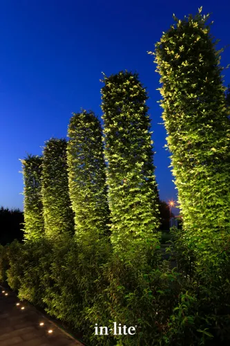 In-Lite Big Scope Narrow 12V-Mooi natuurgetrouw licht