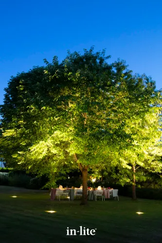 In-Lite Big Nero 12V - Dark-