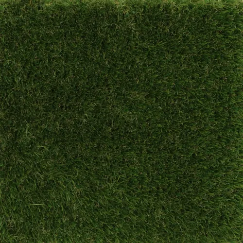 Visiegrass Oldham 35mm-