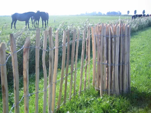 Kastanje Hek 5x90x460-