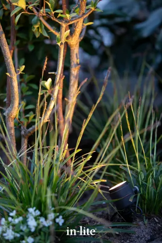 In-Lite Mini Scope 12V-