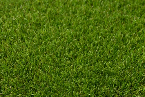 LimeGreen® ONE DNA™ - Elan 35mm 4mtr p/m1-