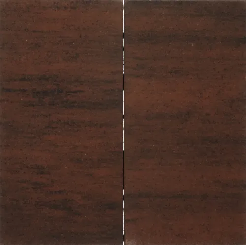 Tremico Brons 30x60x6cm-Betontegel met een deklaag