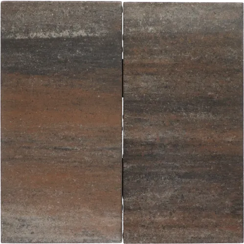 Tremico 6cm 30x60cm Texels bont-Betontegel met een deklaag