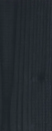 Carefree Protect Antraciet 2