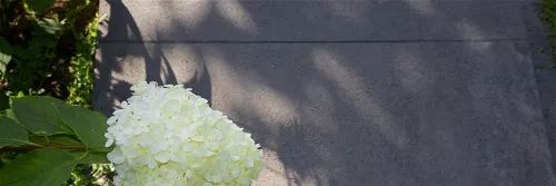 Schellevis Oudhollands Taupe Stapelelem. 75x15x15-Geschikt voor verhoogde borders