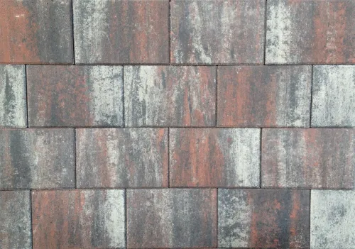 Tremico Twents Bont 20x30x6cm-Betontegel met een deklaag